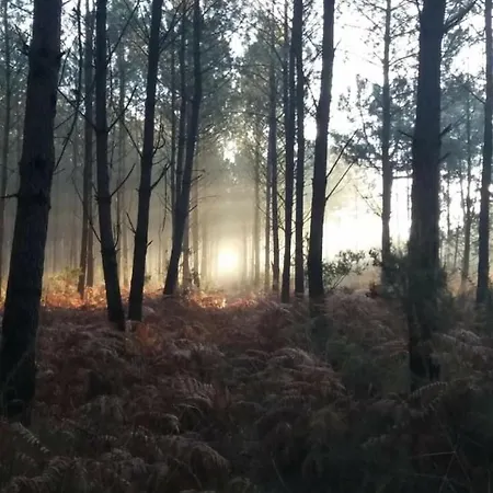Δωμάτια σε οικογενειακή κατοικία L'atelier D'adrien