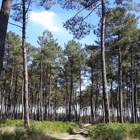 Δωμάτια σε οικογενειακή κατοικία L'atelier D'adrien