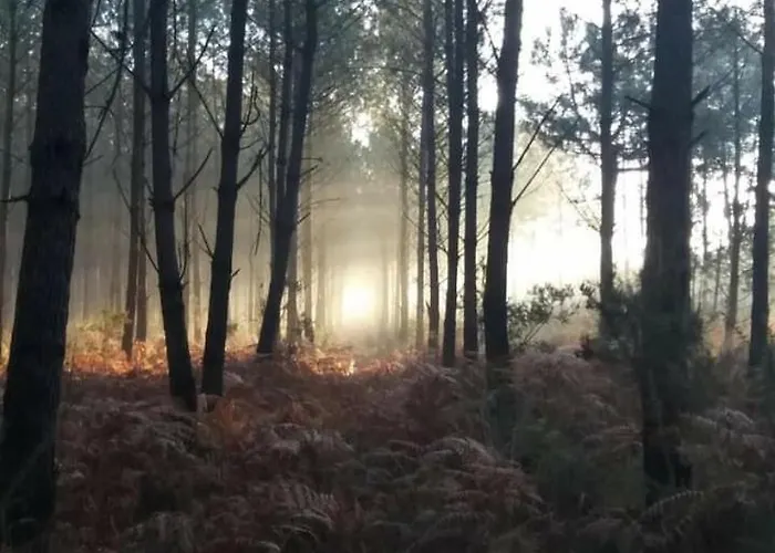 Alloggio in famiglia L'atelier D'adrien