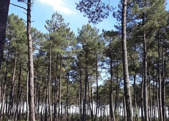 Alloggio in famiglia L'atelier D'adrien